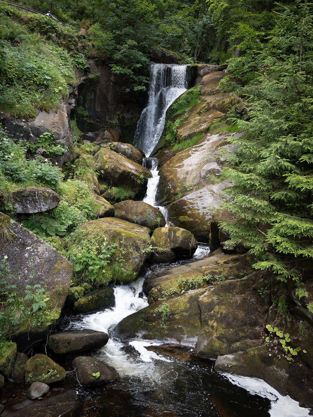 die Gutach stürzt über mächtige Granitstufen an den Triberger Wasserfällen