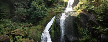 die Triberger Wasserfälle