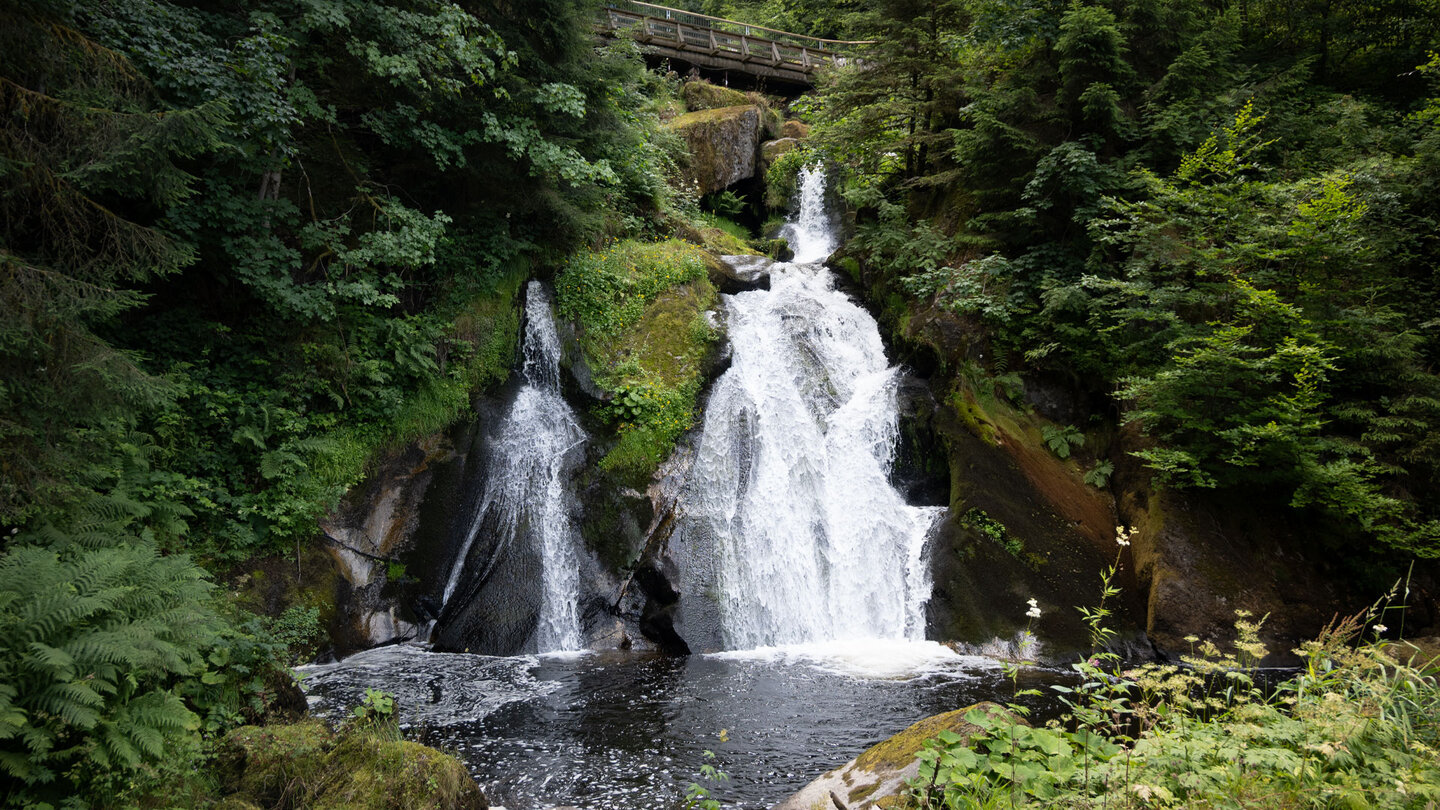 Blick auf ein Becken zwischen den Granitstufen der Triberger Wasserfälle