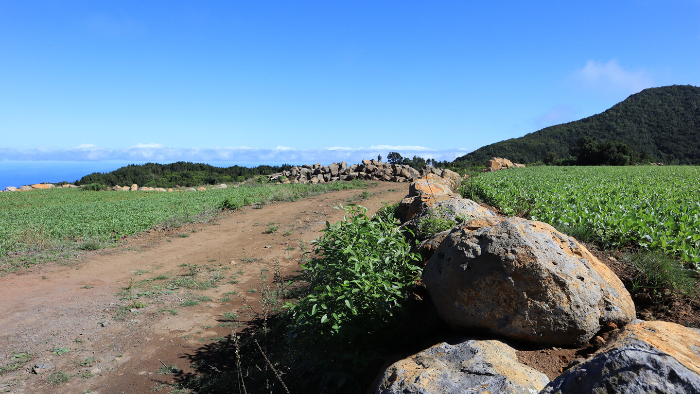 Kulturlandschaft am Wanderweg PR LP 9 auf La Palma