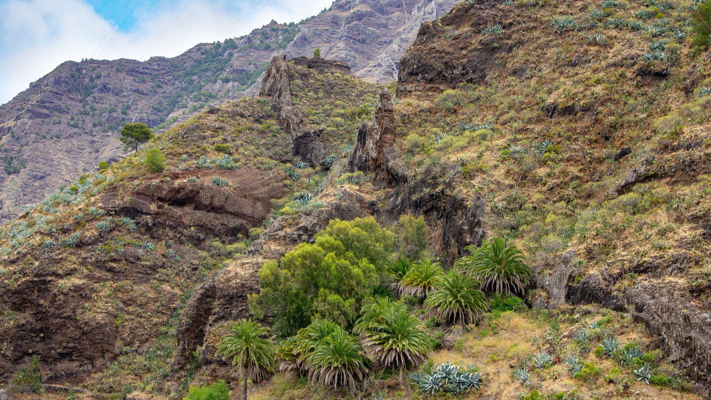 schroffe Felsformationen in der Schlucht Barranco de Las Lajas