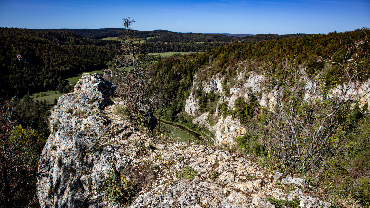 Felsgrat des Stiegelesfels mit Blick auf Donau und bewaldete Talhänge