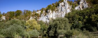 Felsnadeln und Wald über der Donau beim Jägerhaus