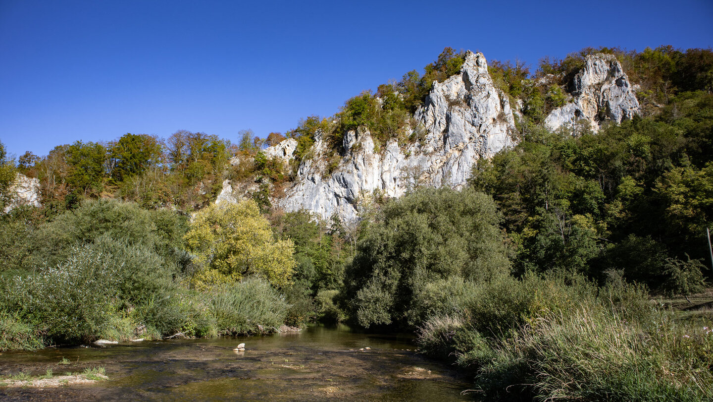 Felsnadeln und Wald über der Donau beim Jägerhaus