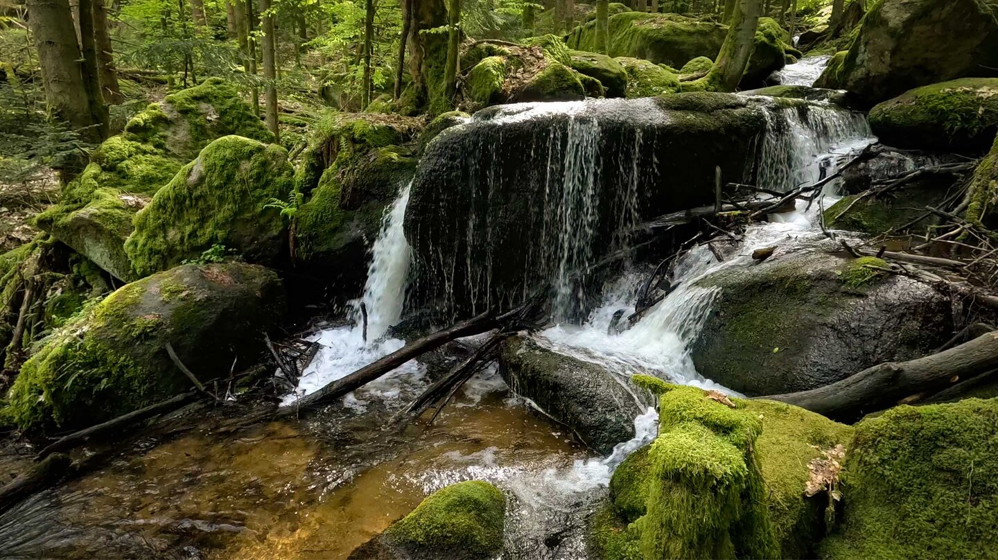 ´Findlinge am Wanderweg entlang des Gertelbach