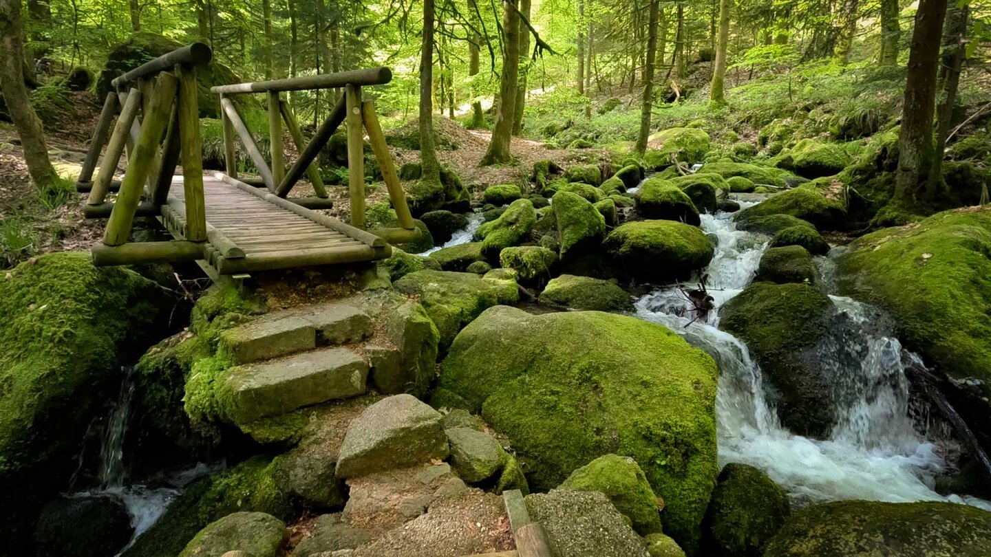 Wanderweg entlang des Gertelbach im Bühlertal