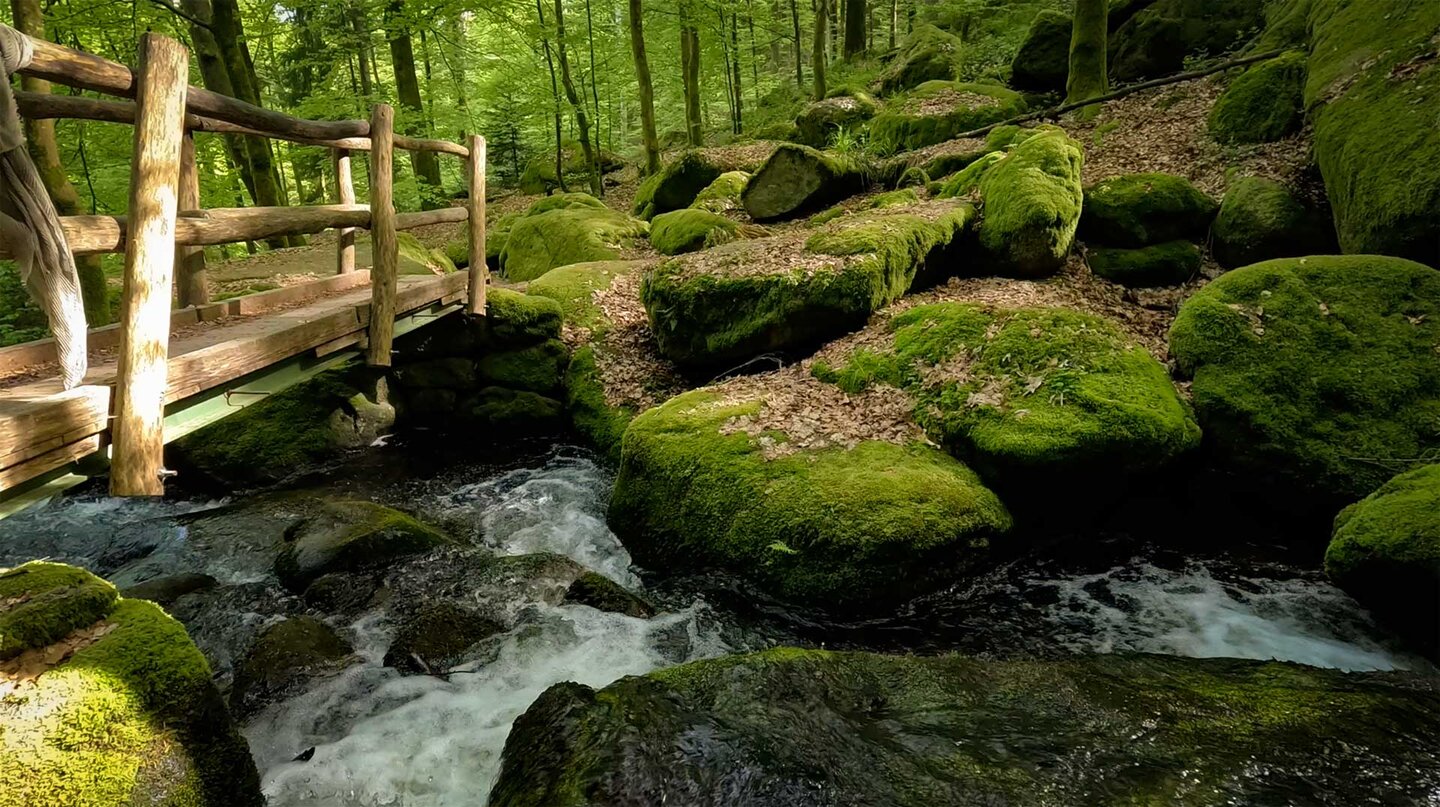 Holztreppe über den Bachlauf des Gertelbach