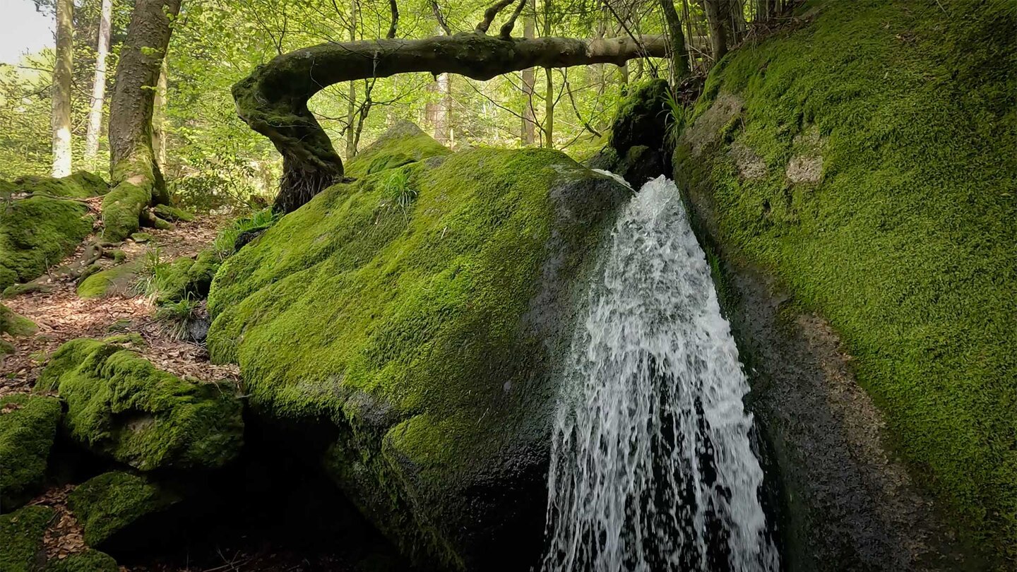 Wasserfall am Wiedenbach