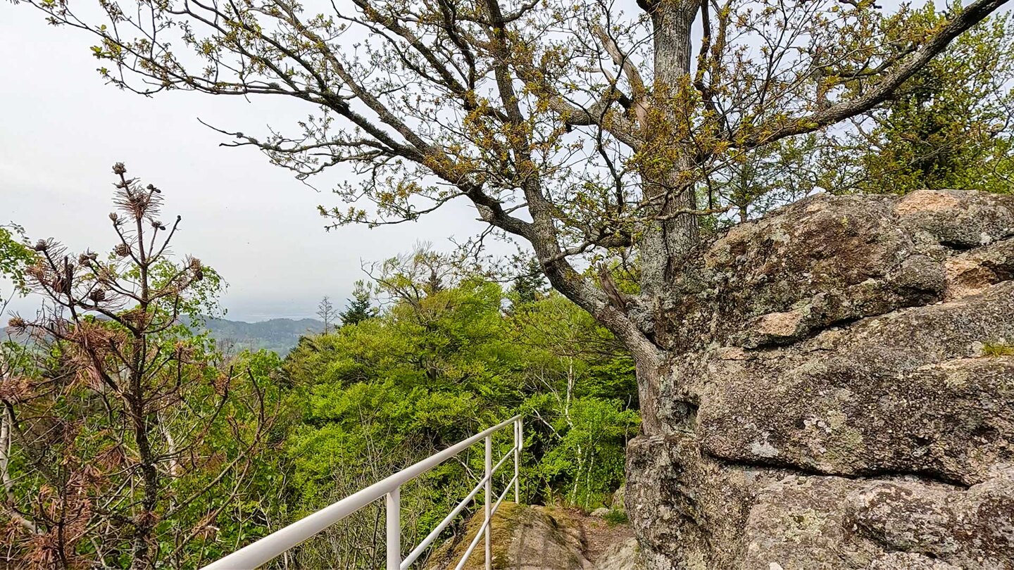 Felsen am Aussichtspunkt Herta-Hütte