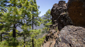 Felsen bei El Rodeo