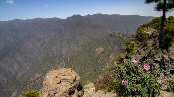 Abbruchkante des Pico Bejanado hoch über der Caldera