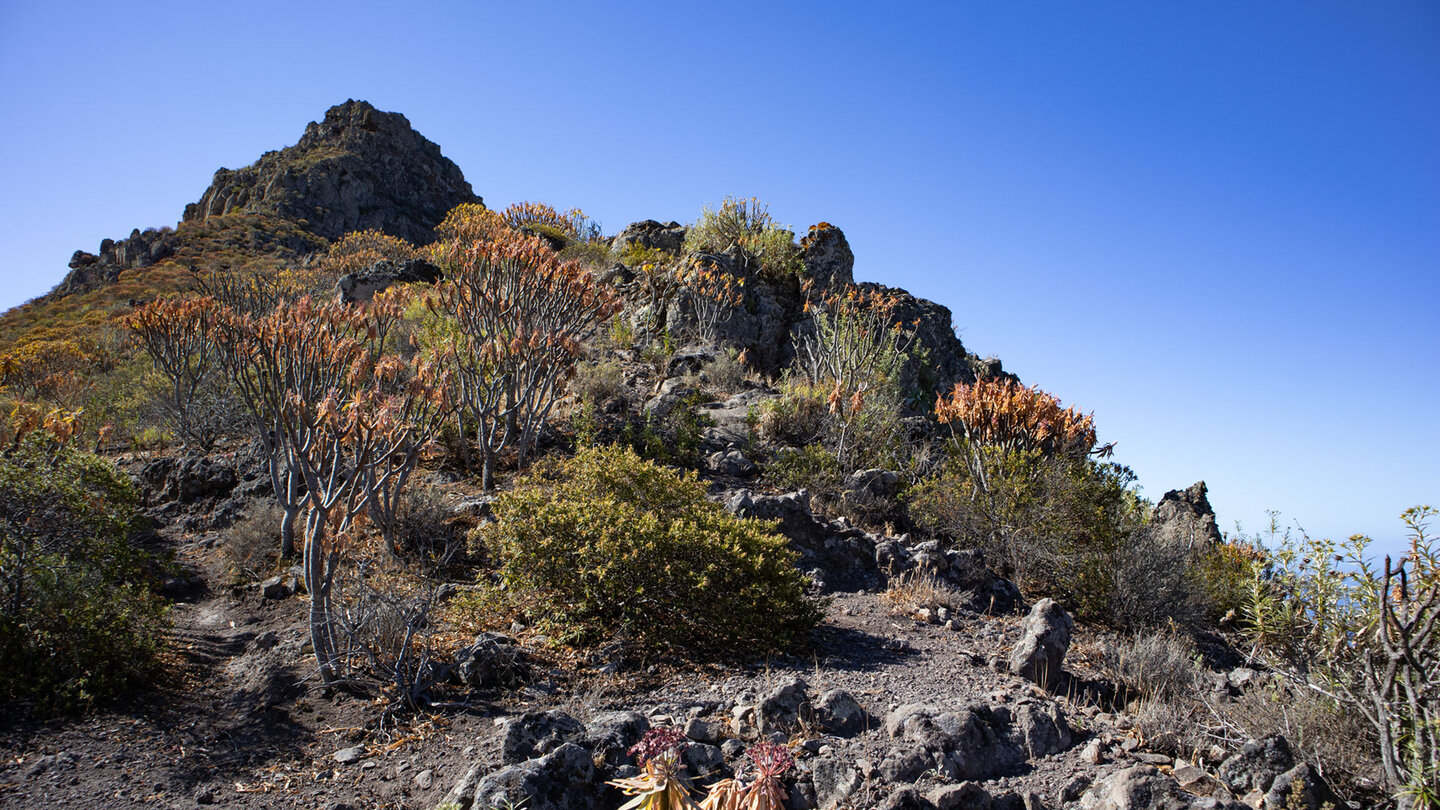 Wanderweg zum Gipfel des Roque Imoque