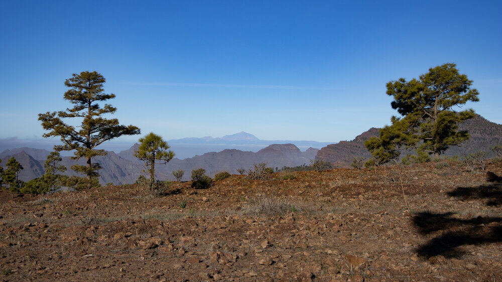 Ausblick auf Teide und Teneriffa vom Wanderweg Montaña de Tauro