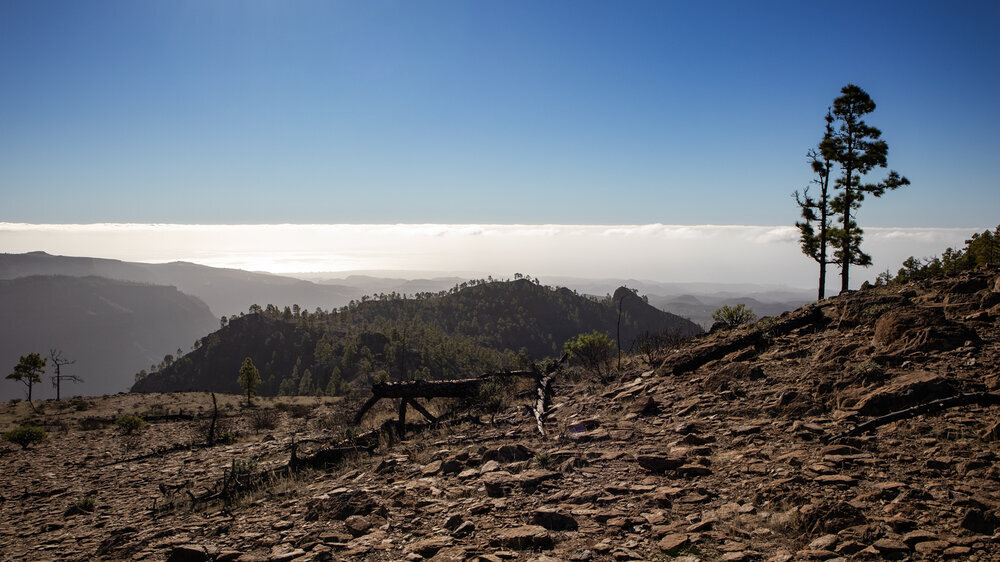 Ausblick auf den Montaña de los Cardones übers Hochplateau des Tauro Ausblick auf Montaña de los Cardones vom Hochplateau des Tauro