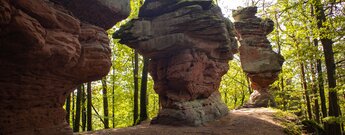 Blick entlang der Rumbergtürme vom Lochfels zum Wespenfels