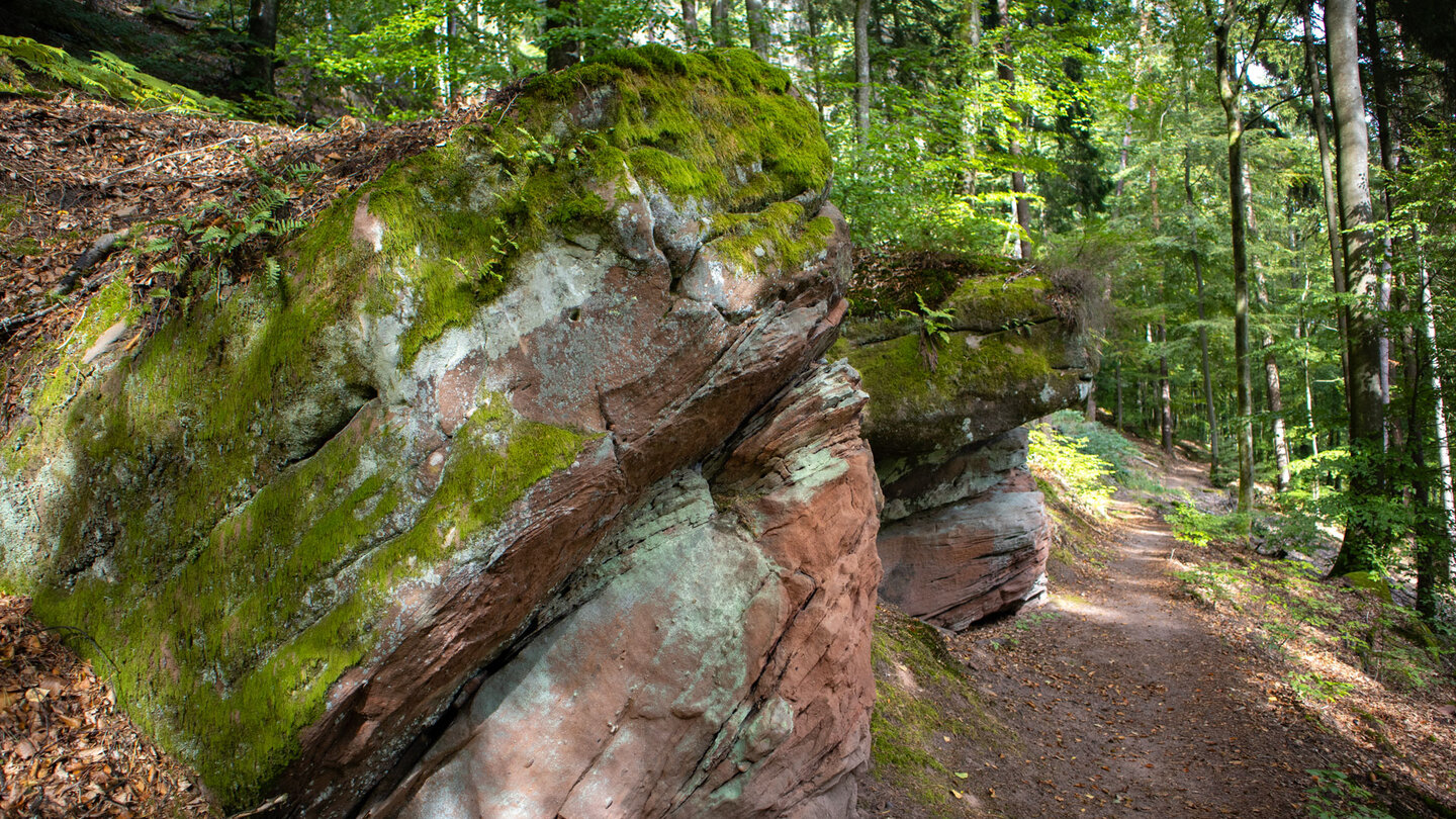 Blick entlang der Rumbergtürme vom Lochfels zum Wespenfels