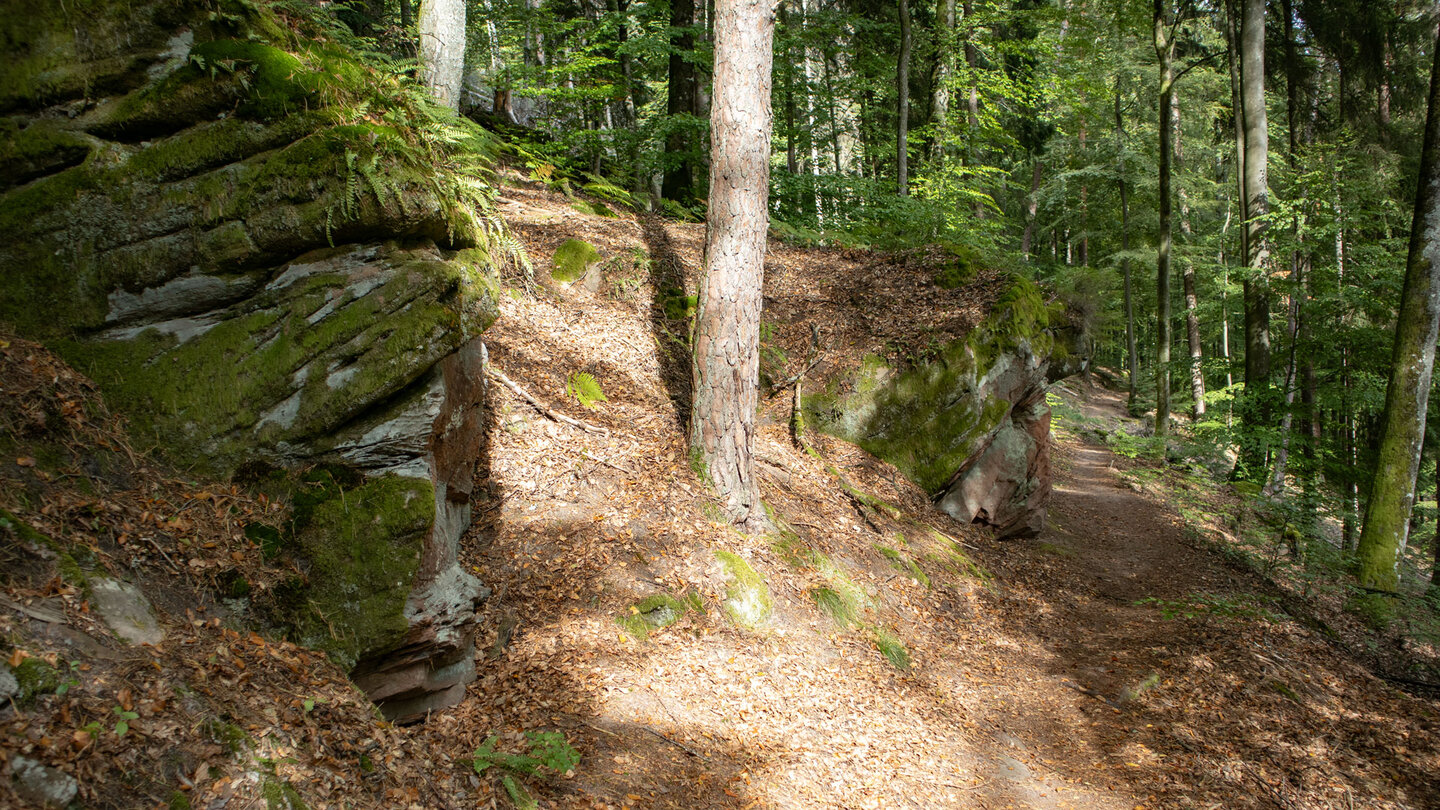 idyllischer Wanderpfad am Rumbach-Steig bei Ludwigswinkel