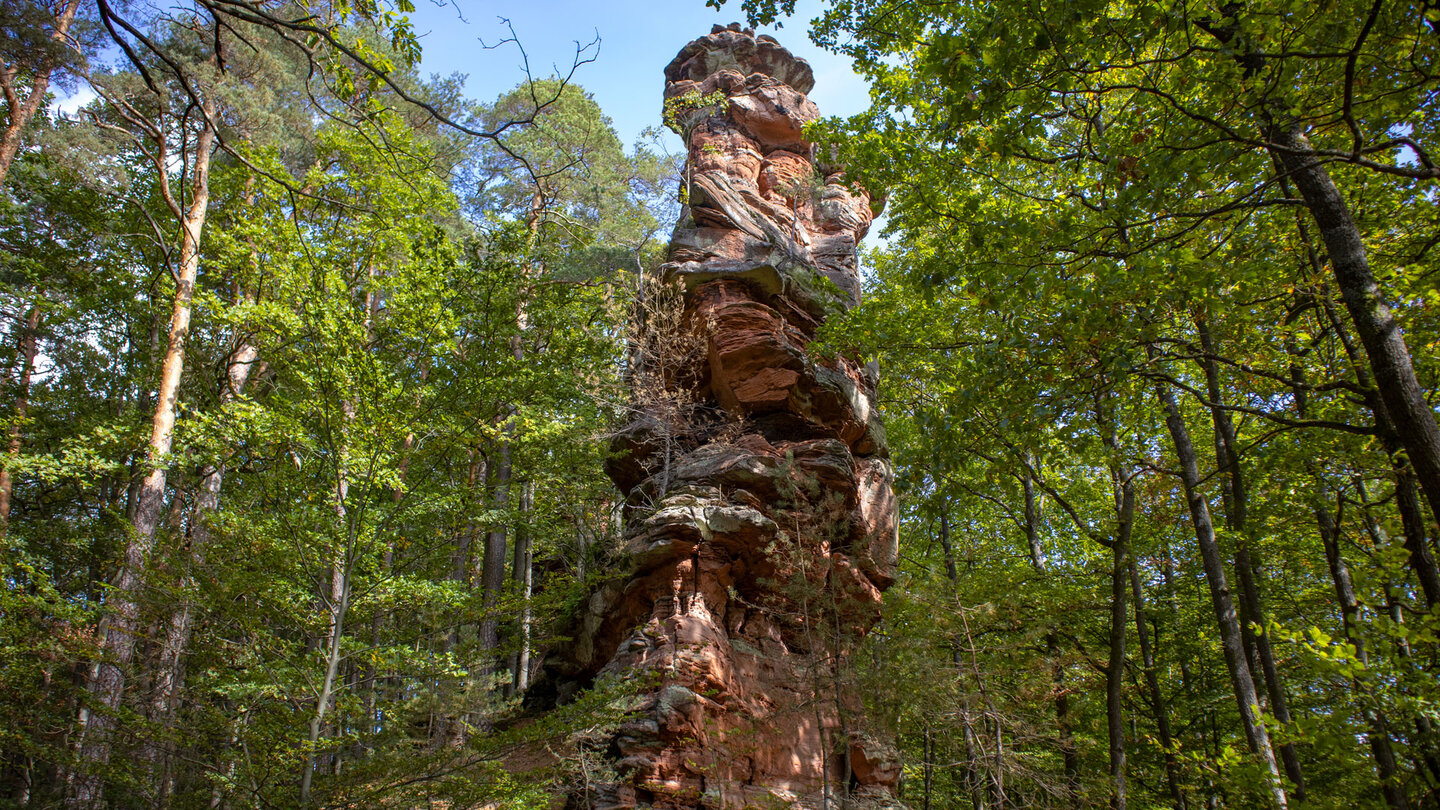 der Rumbergturm am Habichtsfels ragt steil aus dem Wald in die Höhe