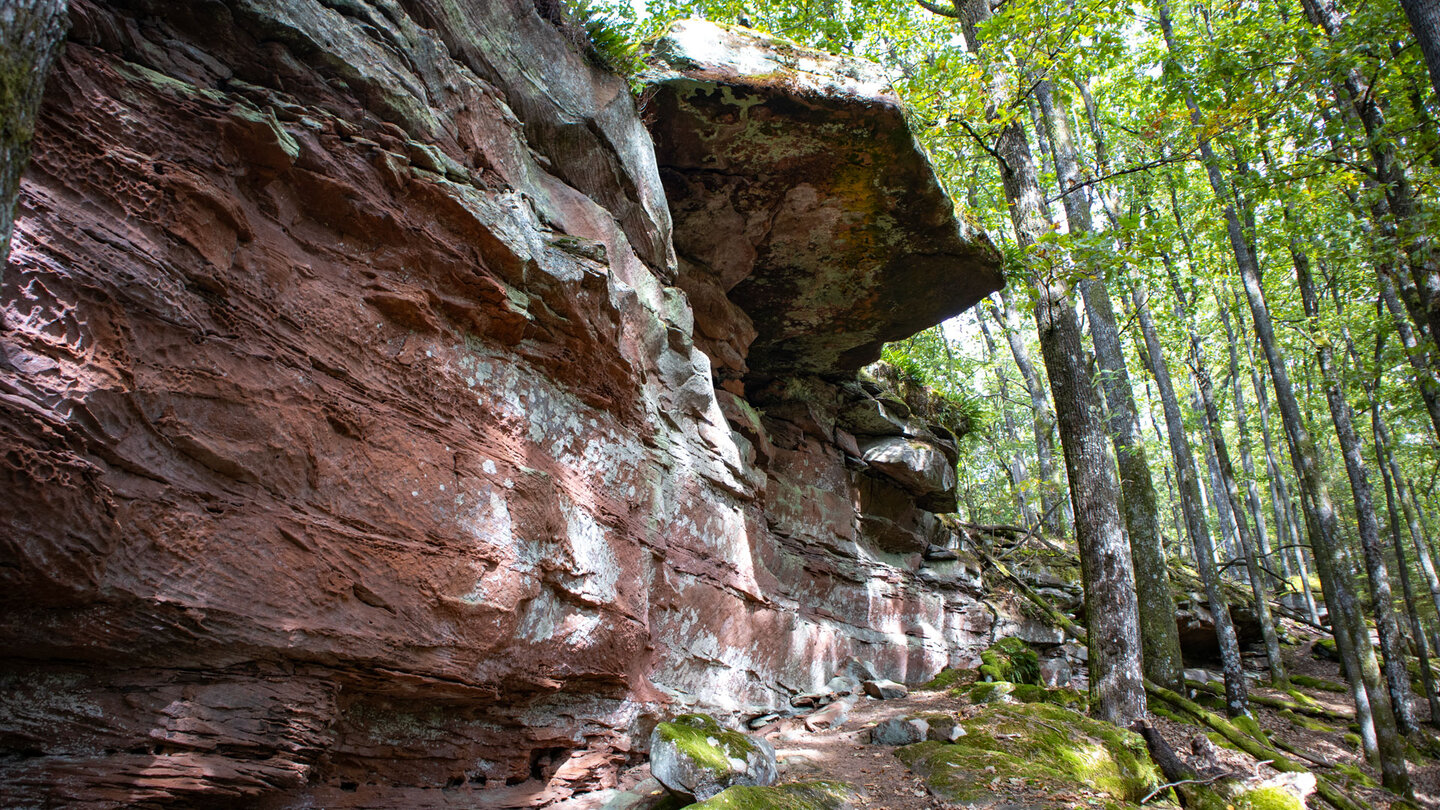 Felsüberhang am Sandsteinrücken des Rumbergs