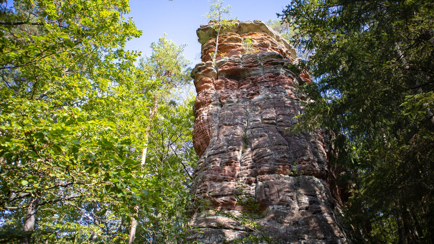 der Kastenfelsen ist eine der Buntsandsteinformationen am Wanderweg Rumberg-Steig