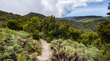 Blick entlang der Route zum Gipfel des Garajonay