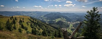 Belchengipfel zum Nonnenmattweiher