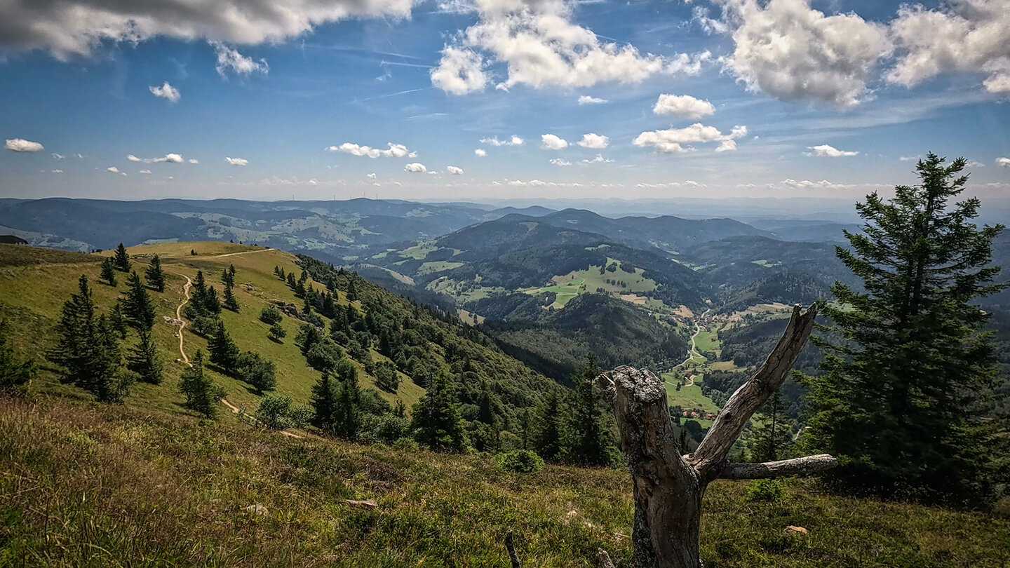 Belchengipfel zum Nonnenmattweiher
