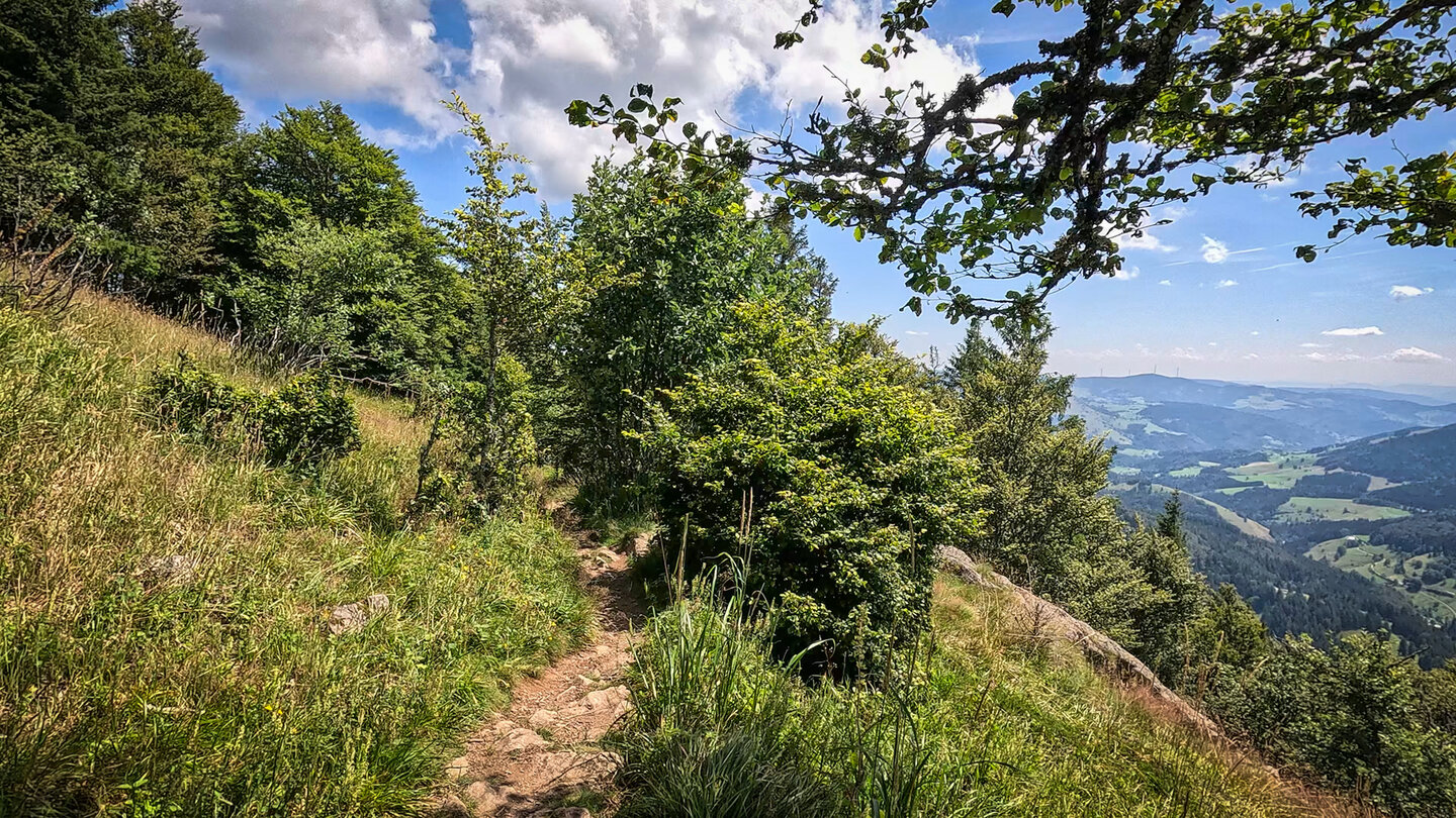 Fels- und Wurzelpfaden am Belchen