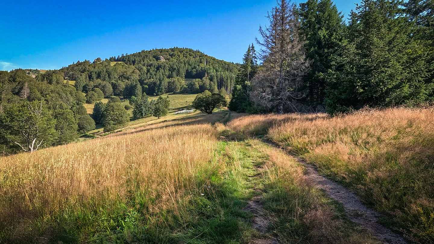 Wiesenlandschaft am Böllener Eck