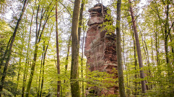 Wanderroute an den Windsteiner Felsen an der Grenze zum Elsaß