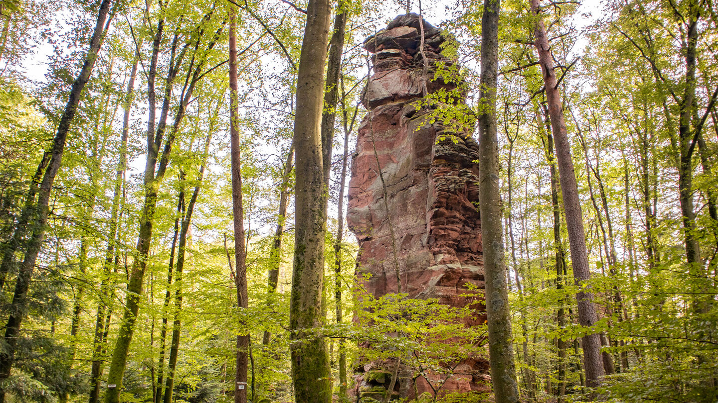 die Wanderroute führt an den Windsteiner Felsen vorbei, die sich an der Grenze zum Elsass liegen Wanderroute an den Windsteiner Felsen an der Grenze zum Elsaß