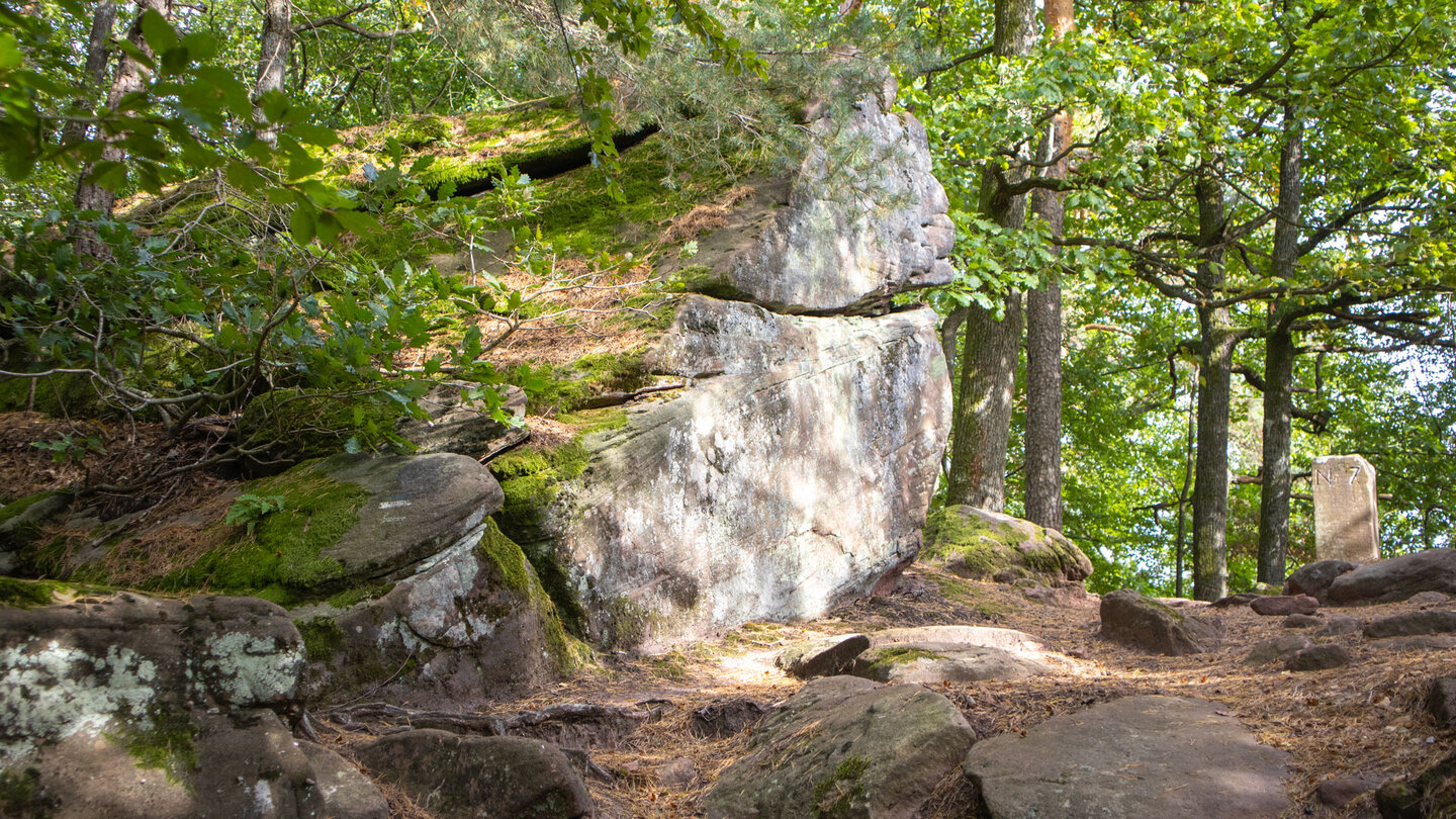 Felsformationen am Bayerischen Windstein Felsformationen am Bayerischen Windstein