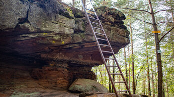 Treppe zur Aussichtsplattform am Bayrisch Windstein