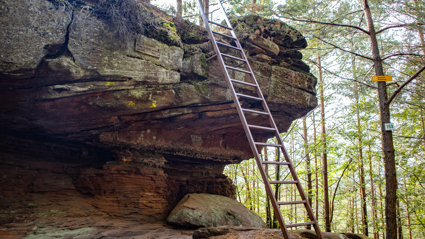 Treppe zur Aussichtsplattform am Bayrisch Windstein Treppe zur Aussichtsplattform am Bayrisch Windstein