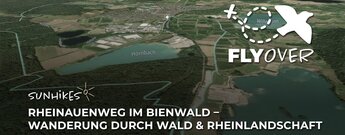 Rheinauenweg im Bienwald in der Südpfalz – Flyover