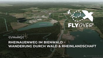 Rheinauenweg im Bienwald in der Südpfalz – Flyover