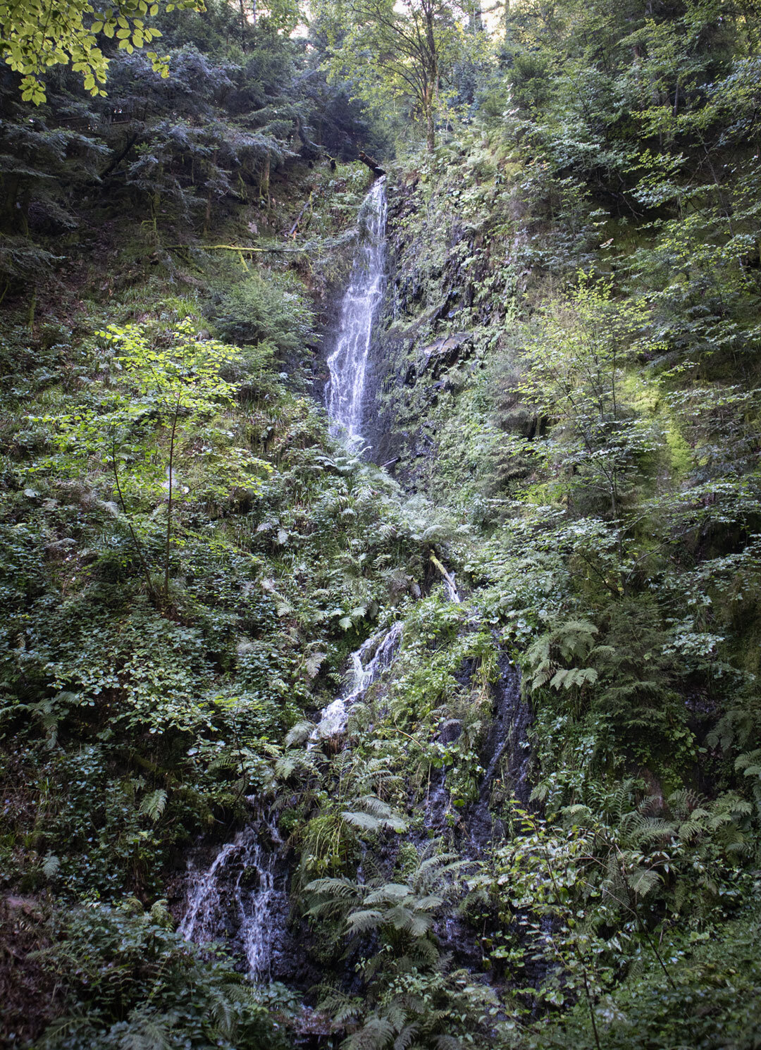 der Griesbacher Wasserfall ergießt sich in Kaskaden über gewaltige Felsblöcke der Griesbacher Wasserfall ergießt sich in Kaskaden über Felsblöcke