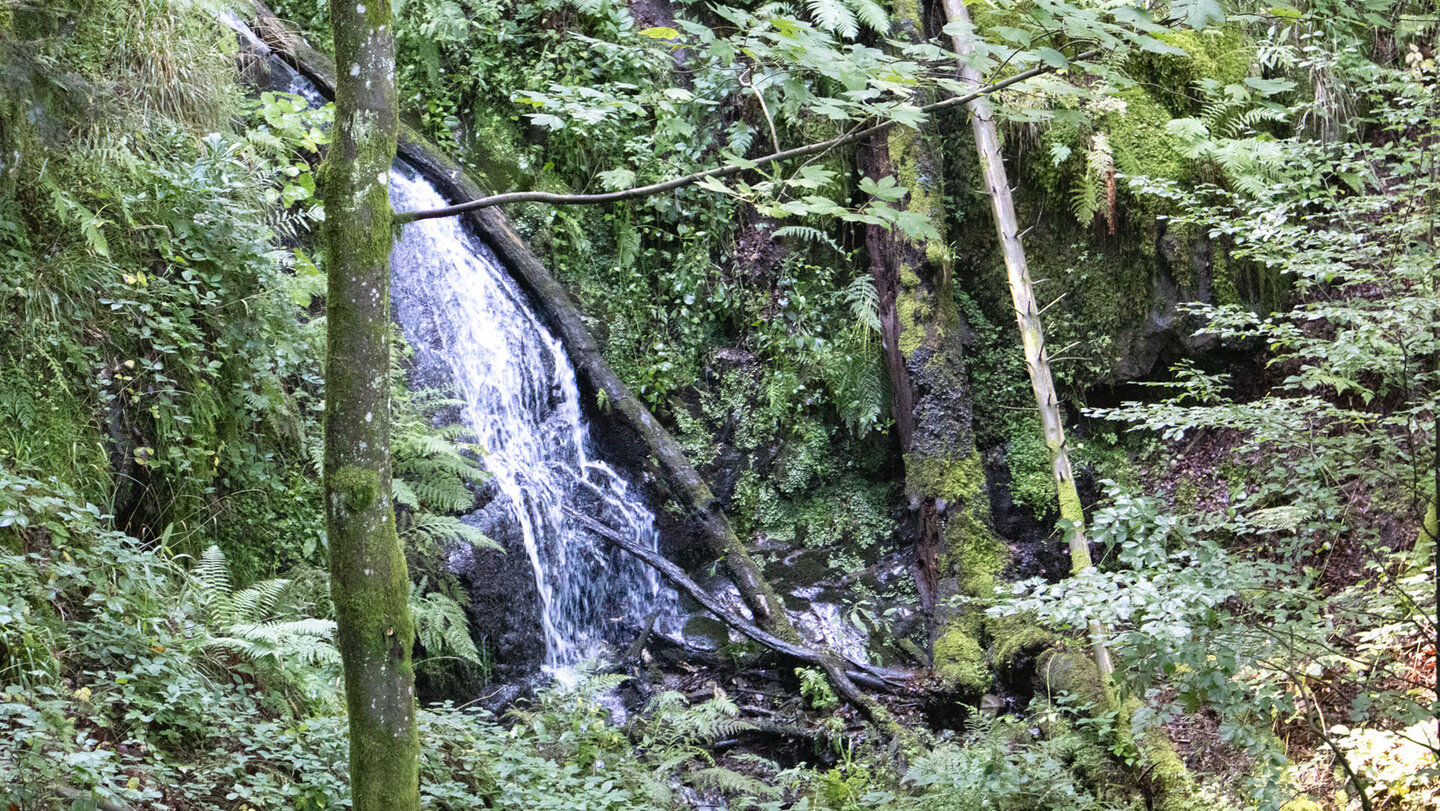 Ausblick auf eine Kaskade am oberen Griesbacher Wasserfall Kaskade am Griesbacher Wasserfall