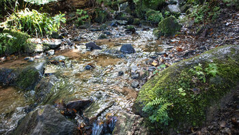 Bachquerung oberhalb des Griesbacher Wasserfalls