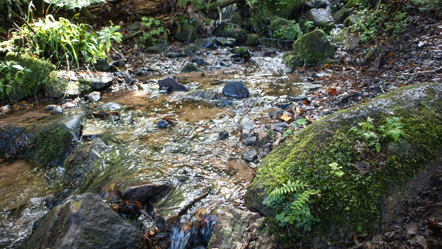 Bachquerung oberhalb des Griesbacher Wasserfalls Bachquerung oberhalb des Griesbacher Wasserfalls