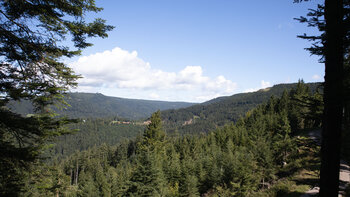 Schwarzwaldpanorama im Oberen Renchtal