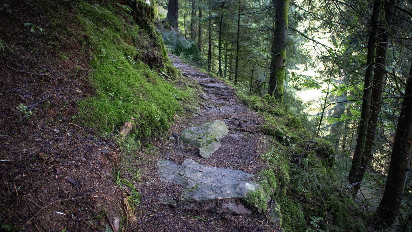 schmaler Wanderpfad zur Teufelkanzel Wanderpfad zur Teufelkanzel