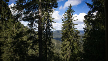 Ausblick von der Teufelskanzel