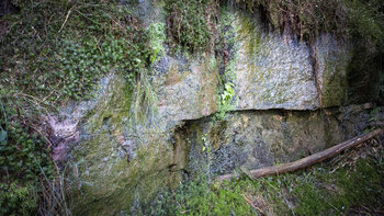 Waldfelsen am Wanderweg