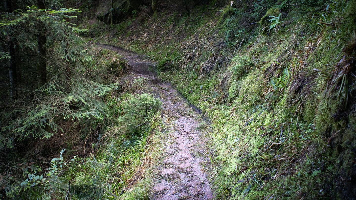 Wanderung auf dem Teufelkanzelsteig Wanderung auf dem Teufelkanzelsteig