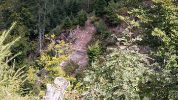 Steilrinne aus Buntsandstein am Rappenschliff