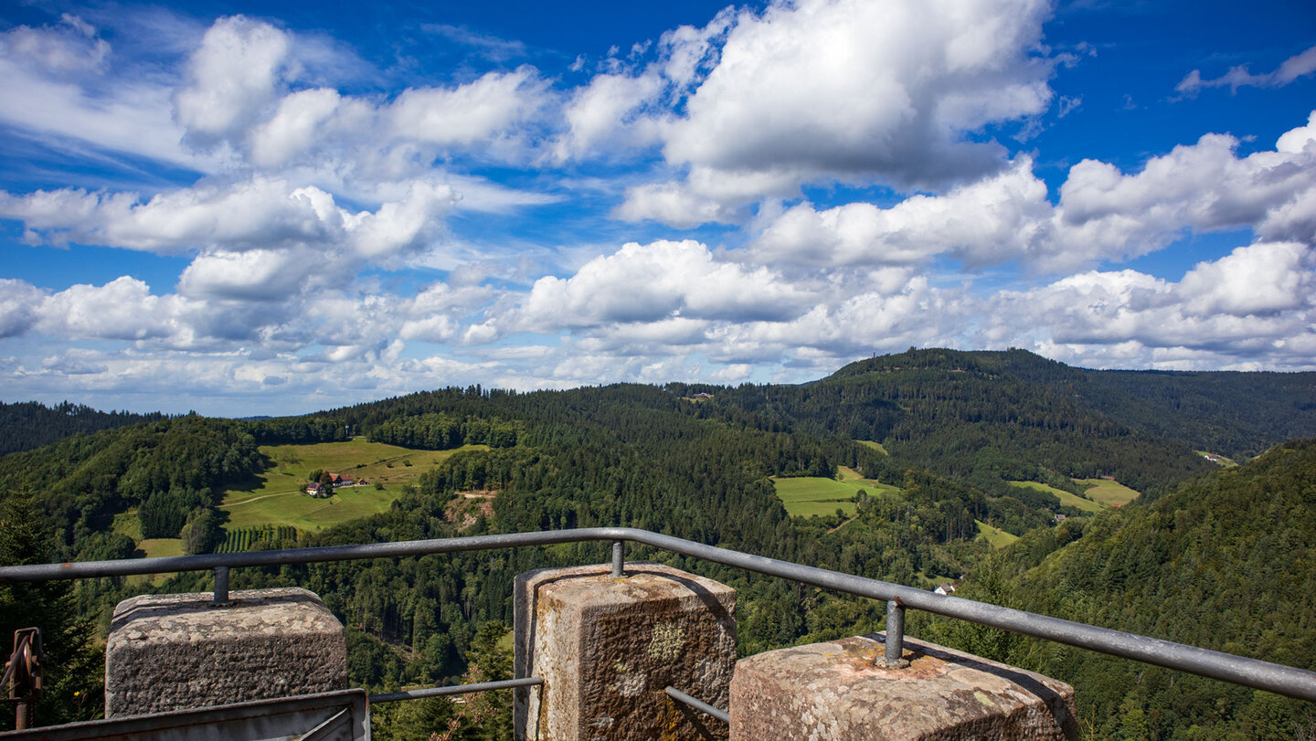 Schwarzwaldpanorama vom Haberer Turm Schwarzwaldpanorama vom Haberer Turm