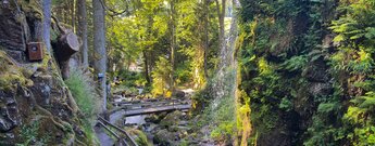 Wanderweg an der Menzenschwander Alb