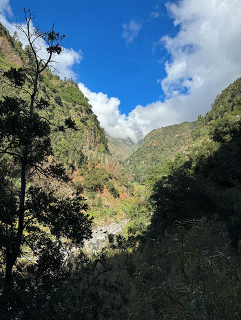 von Felsen übersätes Bachbett des Ribeira da Ponta do Sol
