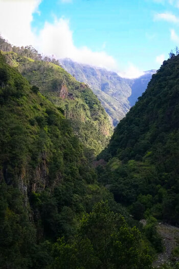üppig grüne Vegetation findet man im Tal Ribeira da Ponta do Sol